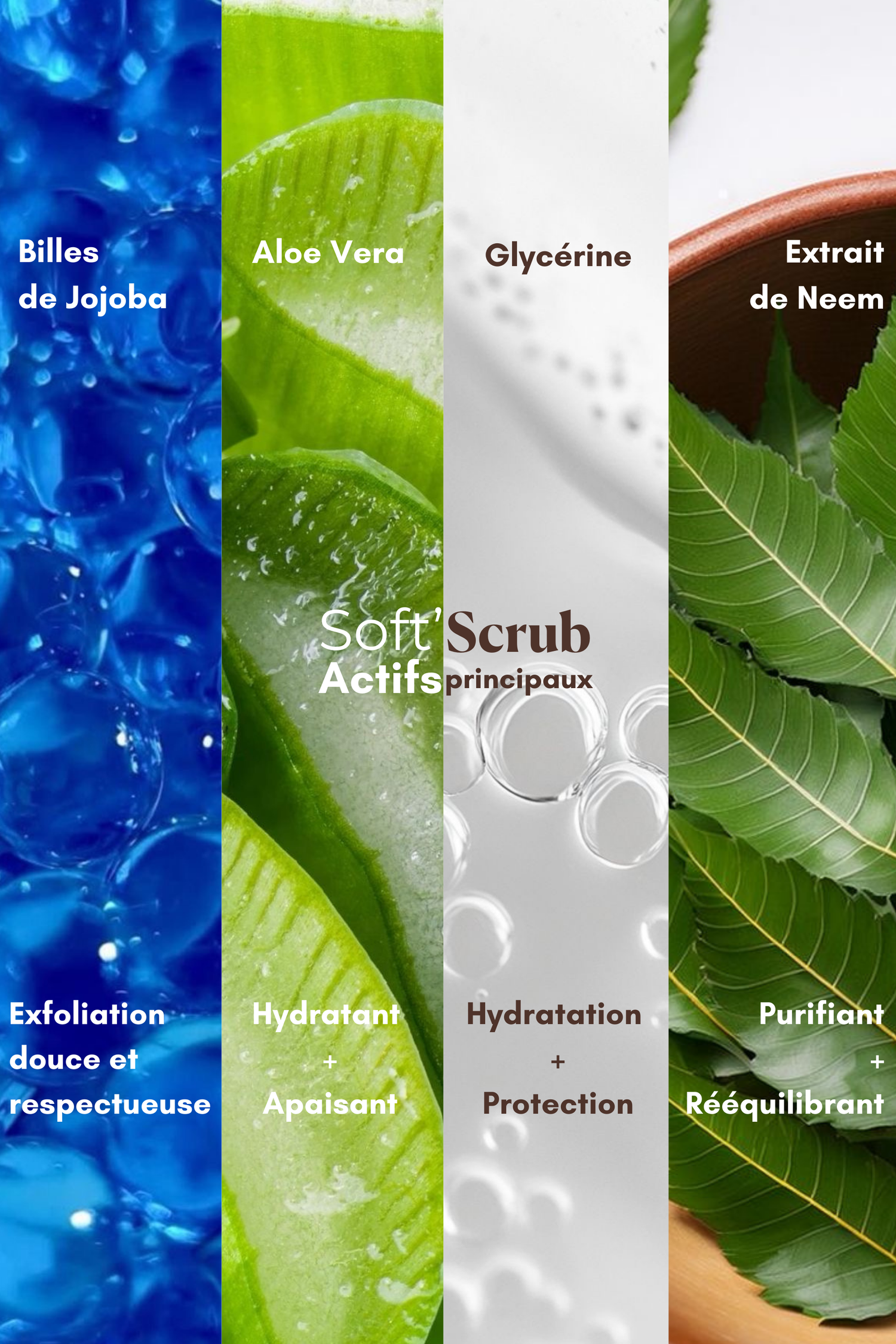 Gommage - Soft'Scrub